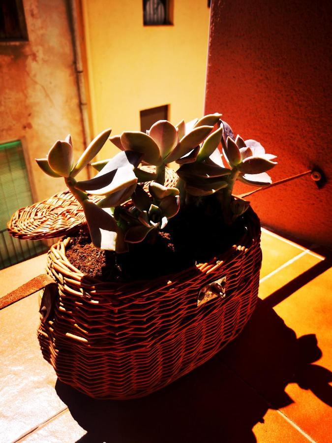 Cornu Karma Apartment Siuranella Cornudella de Montsant Exteriör bild